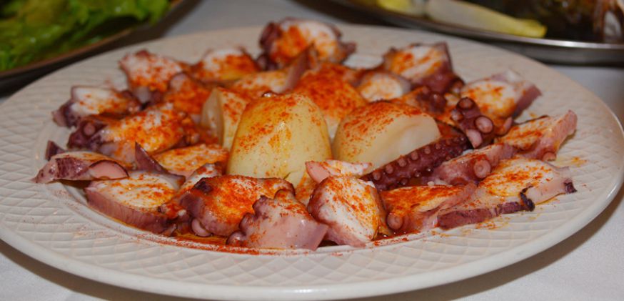 Octopus - home slider