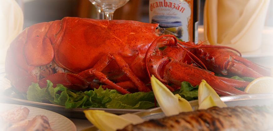 Lobster - home slider